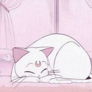 Meet your Posher, Elisha